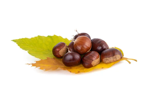 Castagne Dolci Fresche Con Foglie Isolate Bianco — Foto Stock