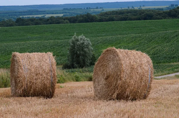 Verpakte Hooi Met Veld Achtergrond — Stockfoto