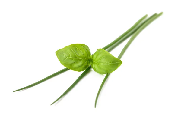 Basil Chives Isolated White Background — 图库照片