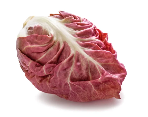 Roze Radicchio Cichorei Geïsoleerd Witte Achtergrond — Stockfoto