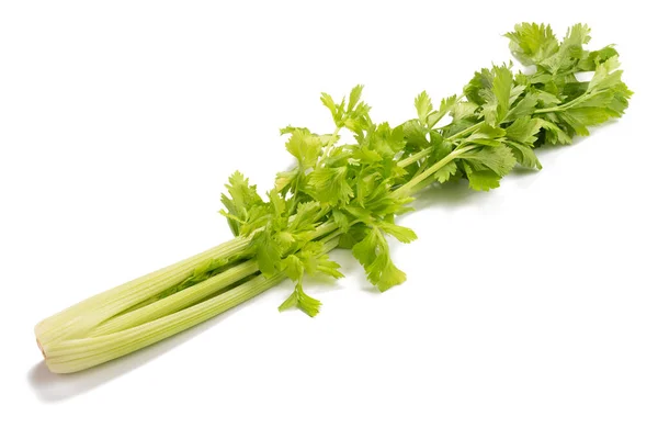 Čerstvý Celer Izolované Bílém Pozadí — Stock fotografie