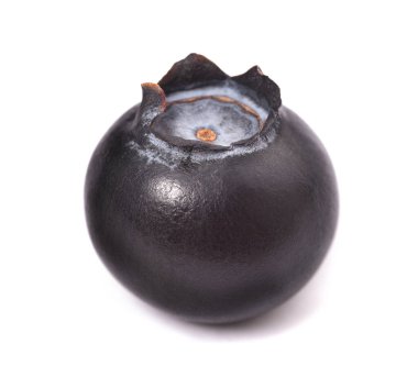 beyaz arkaplanda yaban mersini meyvesi