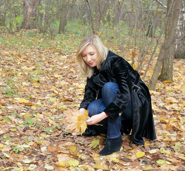 Mujer recogiendo hojas de otoño en el parque —  Fotos de Stock