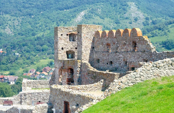 Devin castle tepenin arka planda. Bratislava, Slovakya