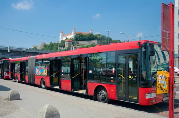 Otobüsler Bratislava, Slovakya