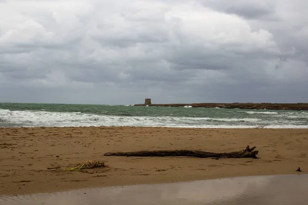 Suggestiva Immagine Tronco Legno Trasportato Una Spiaggia Con Belvedere Sullo — Foto Stock