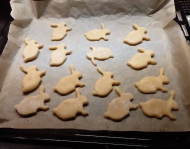 Çeşitli şekillerde ev yapımı tereyağlı kurabiyelerin anımsatıcı görüntüsü