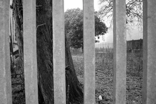 Stimmungsvolles Schwarz Weiß Bild Eines Alten Betonzauns Mit Einem Garten — Stockfoto