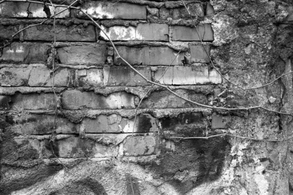 Evocative Black White Image Old Bricks External Perimeter Wallin Milan — Stock Photo, Image