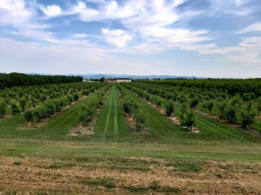 İtalya 'da kırsal bir manzaranın canlandırıcı görüntüsü