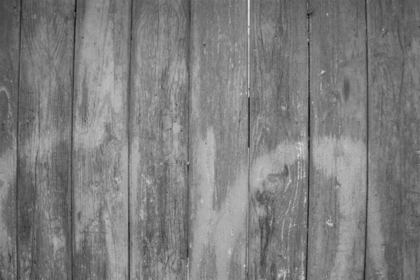 Stimmungsvolles Schwarz Weiß Bild Einer Alten Vertikalen Holzplanke — Stockfoto