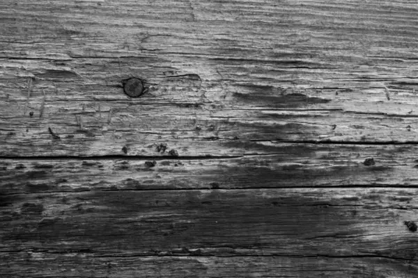 Черно Белый Образ Старой Деревянной Доски Ржавыми Ногтями — стоковое фото