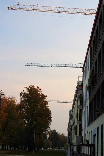 Evocative Image Backlit Trees Citywith Parts Cranes Protruding Some Buildings — Fotografia de Stock