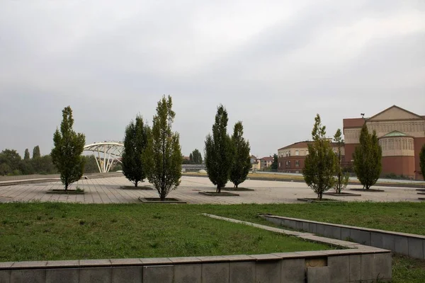 Image Évocatrice Groupe Cyprès Dans Jardin Urbain — Photo