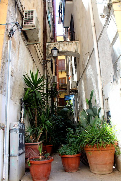 Evocative image of some plants in large pots in onesmall street of a southern town in Italy