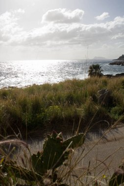 İtalya 'nın güneyindeki arka planda deniz bulunan dikenli armut siluetinin anımsatıcı görüntüsü