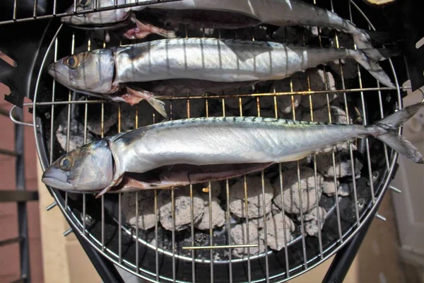 Evocative Close Image Sea Fish Bbq Grill Ready Cooked — Stock Photo, Image