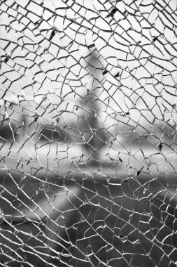 evocative black and white image of shattered glass texture with a tree in the background