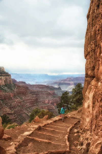 Grand Canyon Kaibab trail — Stock Photo, Image