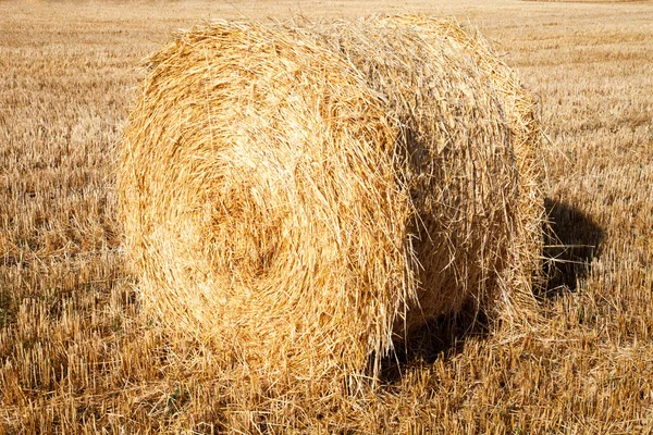 Straw crop — Stock Photo, Image