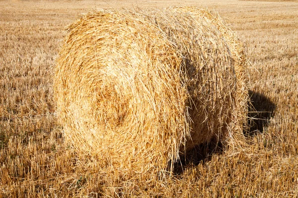 Άχυρο καλλιέργειας — Φωτογραφία Αρχείου