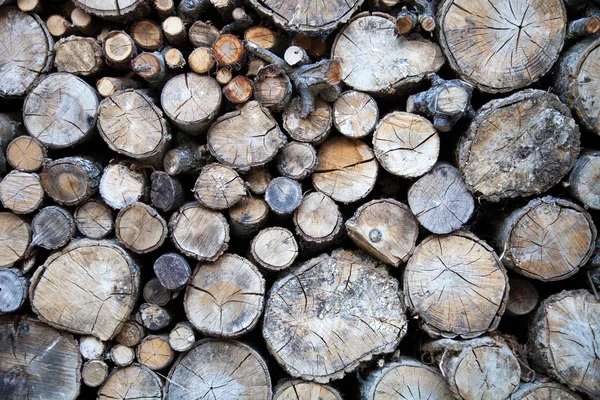 Troncos de madeira — Fotografia de Stock