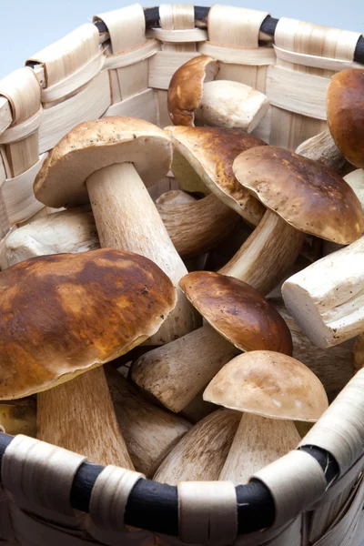 Basket with eatable mushrooms — Stock Photo, Image