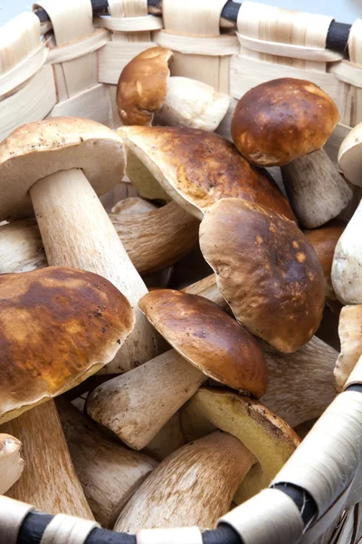 Basket with eatable mushrooms — Stock Photo, Image