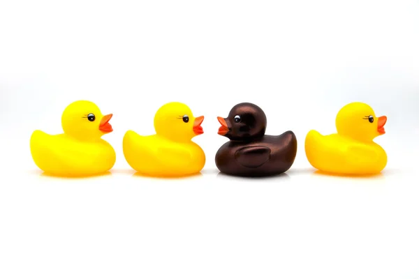 Yellow ducks — Stock Photo, Image