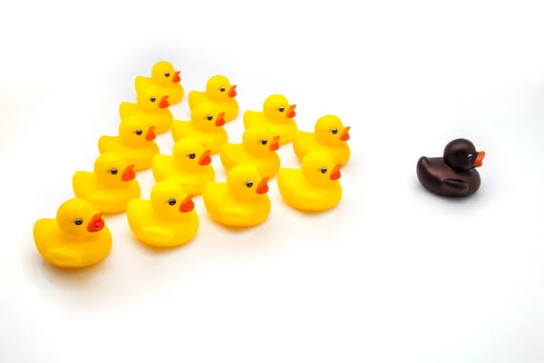 Ducks squadron — Stock Photo, Image