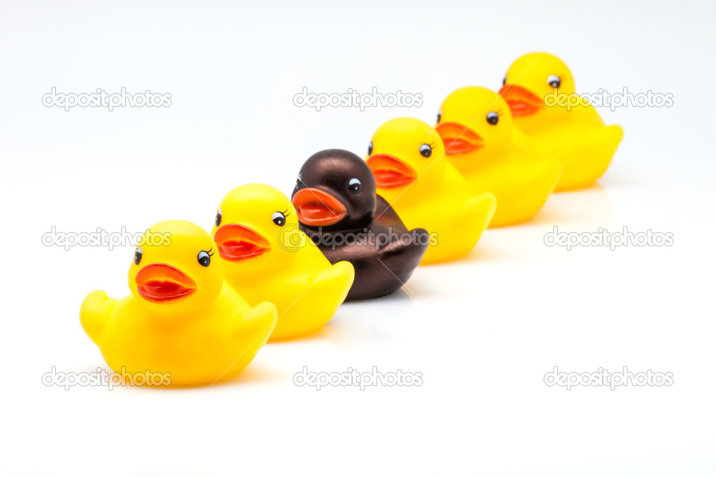 ducks line