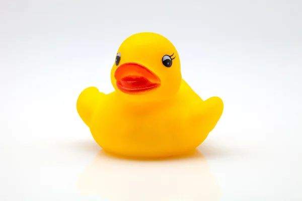 Yellow gum duck — Stock Photo, Image