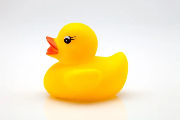 Yellow gum duck — Stock Photo, Image