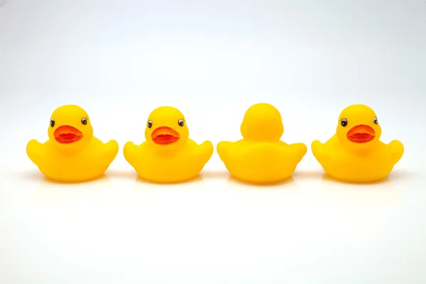 Linha de patos de chiclete — Fotografia de Stock