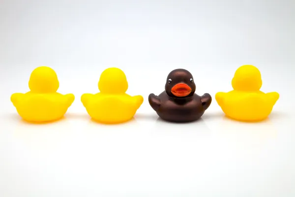 Quatro patos de gengiva — Fotografia de Stock