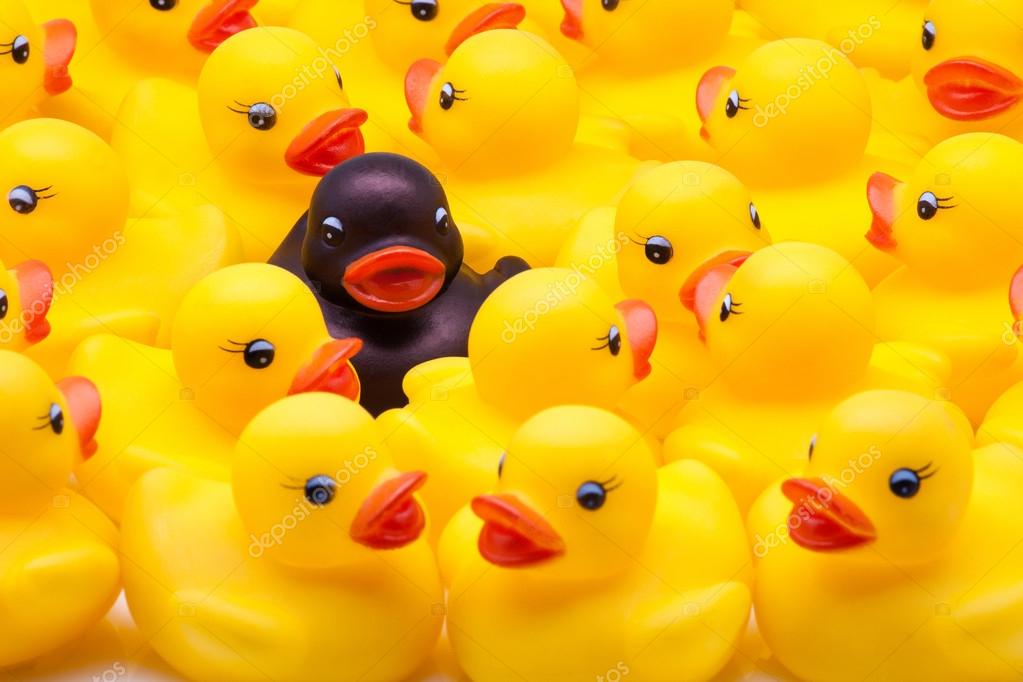 Yellow ducks â Stock Photo © stable400 #25305917