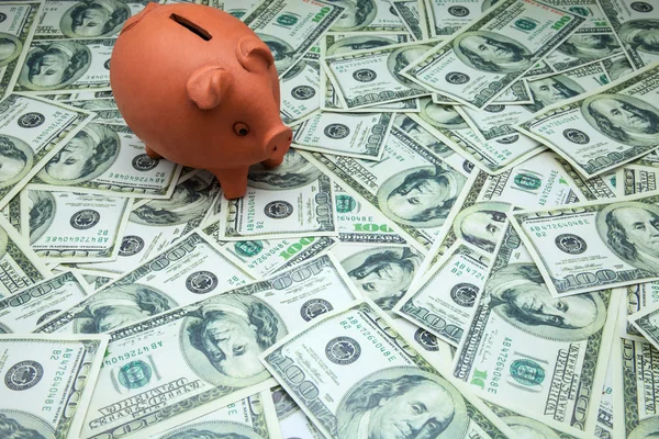 Piglet moneybox — Stock Photo, Image