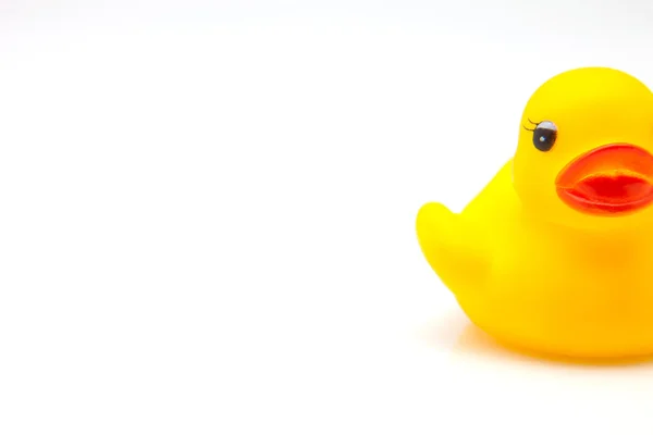Žlutá guma kachna — Stock fotografie