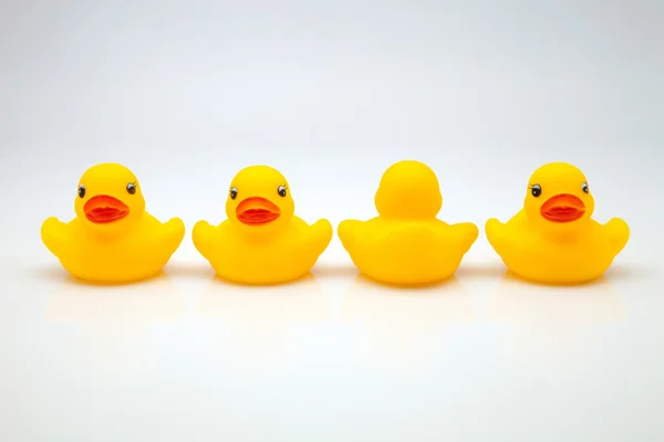 Gum ducks — Stock Photo, Image