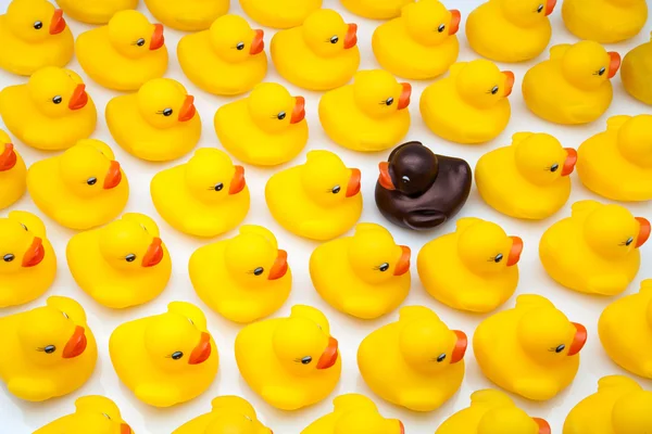 Goma patos amarelo — Fotografia de Stock