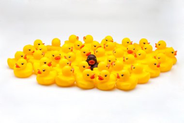 Yellow ducks group clipart