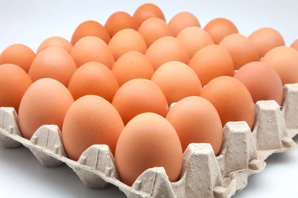 Яйця в паперовому лотку — стокове фото