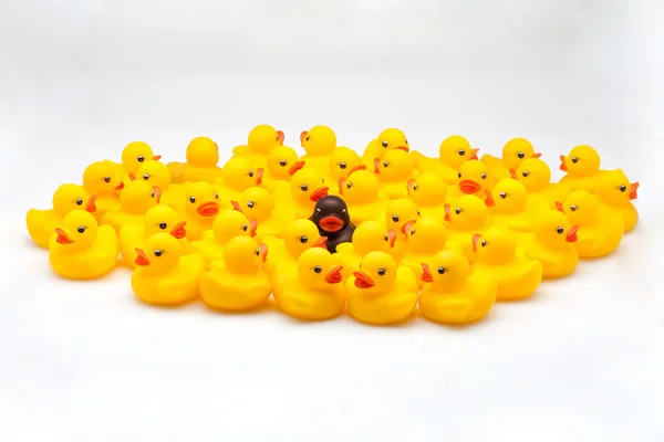 Yellow ducks group — Stock Photo, Image