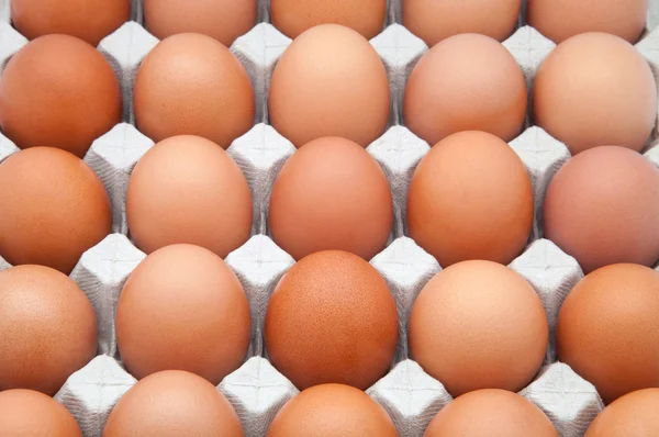 Brown eggs — Stock Photo, Image