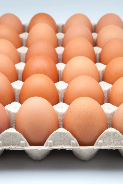 Fresh eggs — Stock Photo, Image