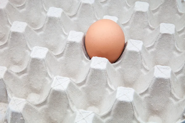 Um único ovo — Fotografia de Stock