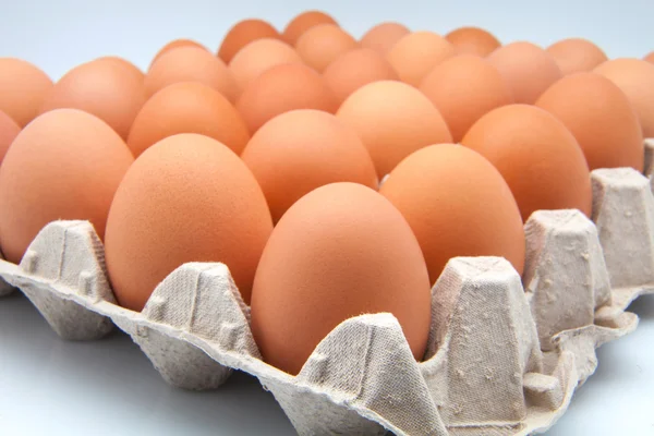 Chicken eggs — Stock Photo, Image