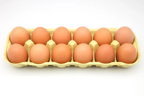 Open eggbox — Stock Photo, Image