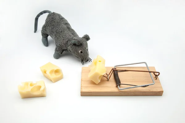 Rato de tecido — Fotografia de Stock