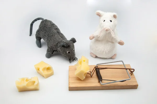 Pułapka na myszy z serem — Zdjęcie stockowe